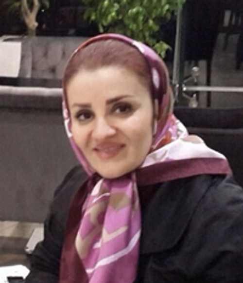 Leila Ansari — Attorney at Law